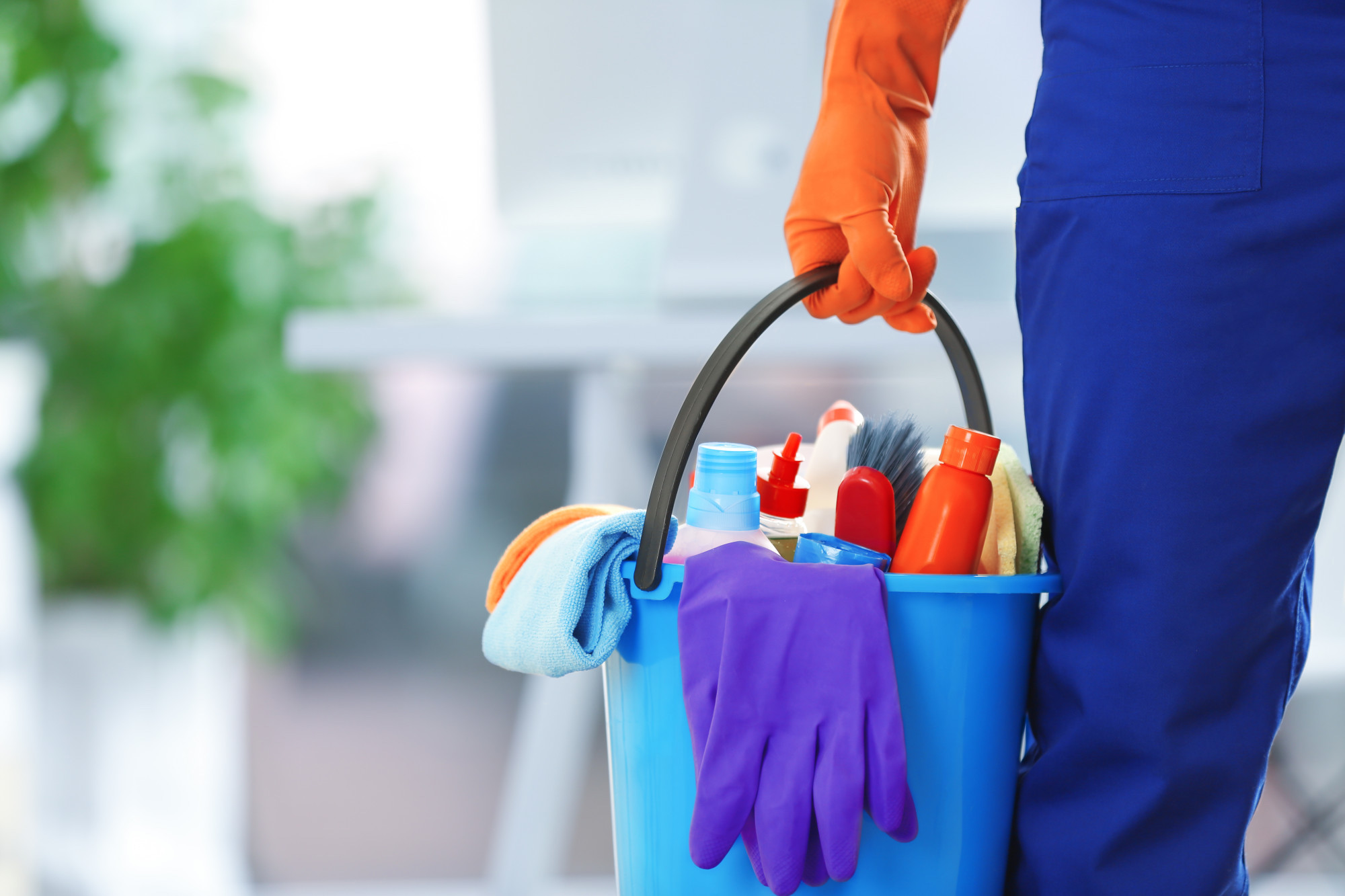 Book Cleaning Services in San Diego